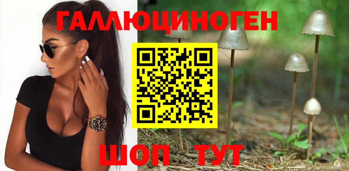 Псилоцибиновые грибы прущие грибы  Вход с VPN  Химки 